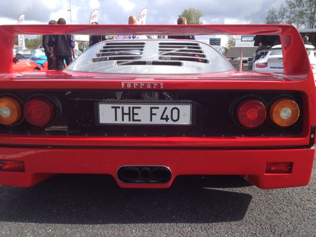 Välförtjänt vald till "Best in Show"