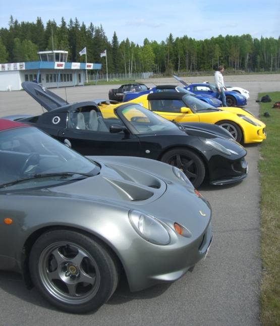 Några Eliser på rad.JPG