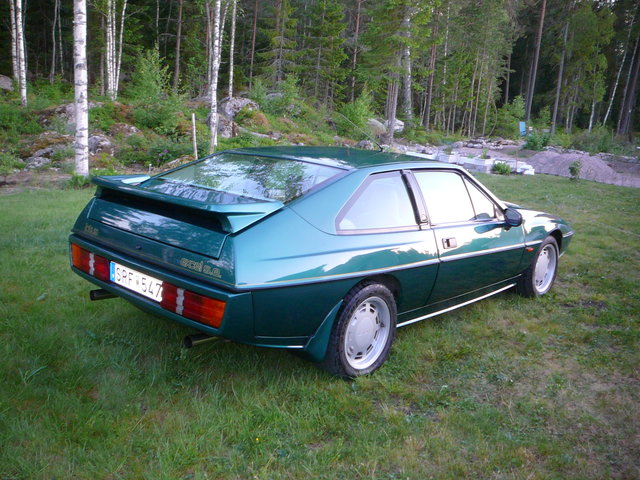 Lotus Excel 11.jpg