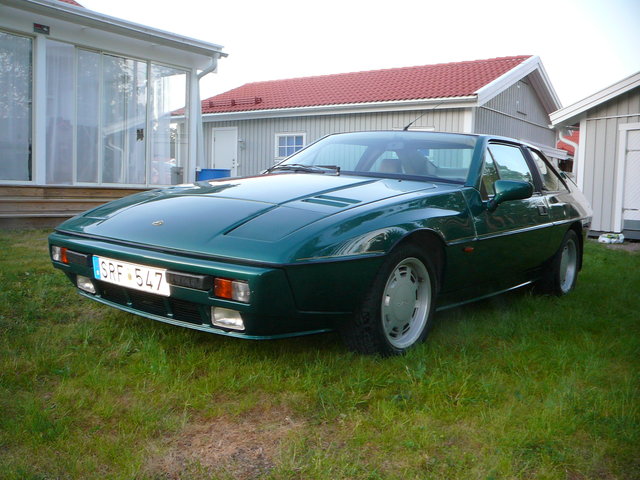Lotus Excel 12.jpg