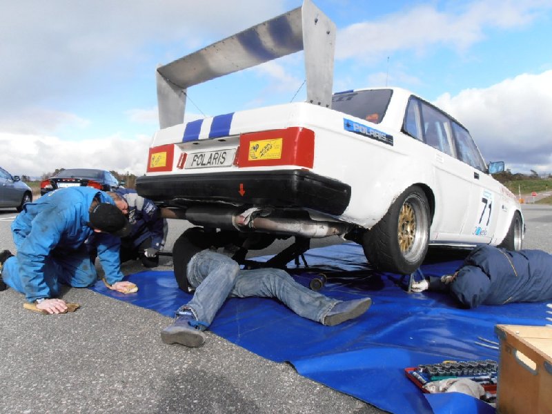 Lite mjukare bakfjädrar kanske.JPG