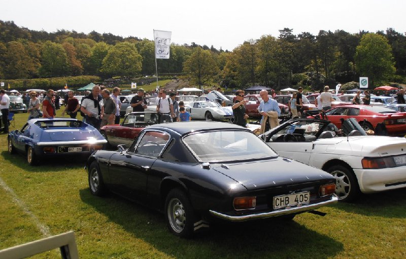 En trevlig samling Lotus av varieerande ålder.JPG